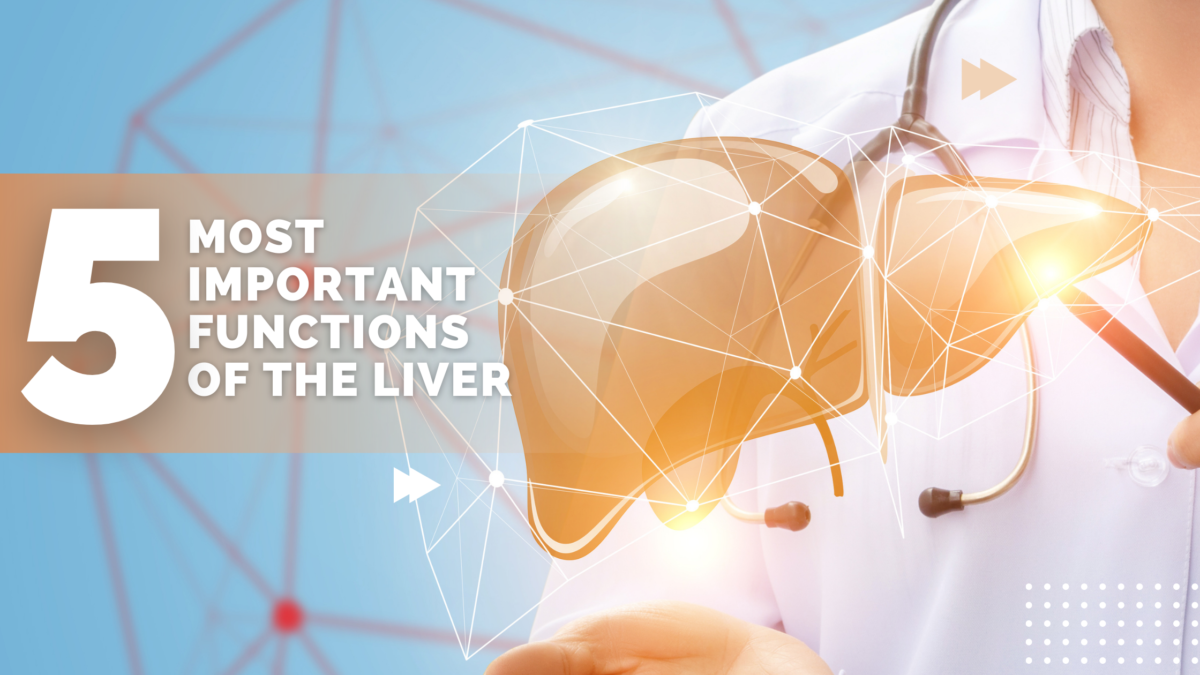 5 most important functions of the liver
