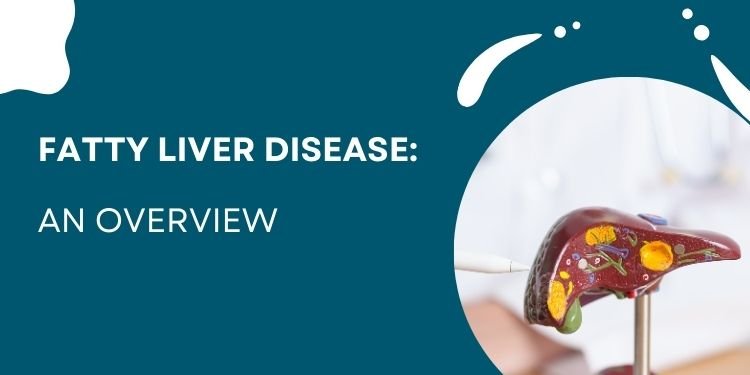 Fatty Liver Disease: An Overview | Alfa Gastro and Liver Care, Ahmedabad