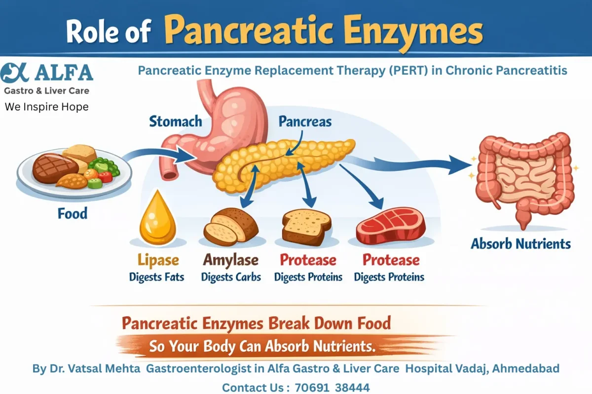 Pancreatic Enzyme Replacement Therapy (PERT) in Chronic Pancreatitis