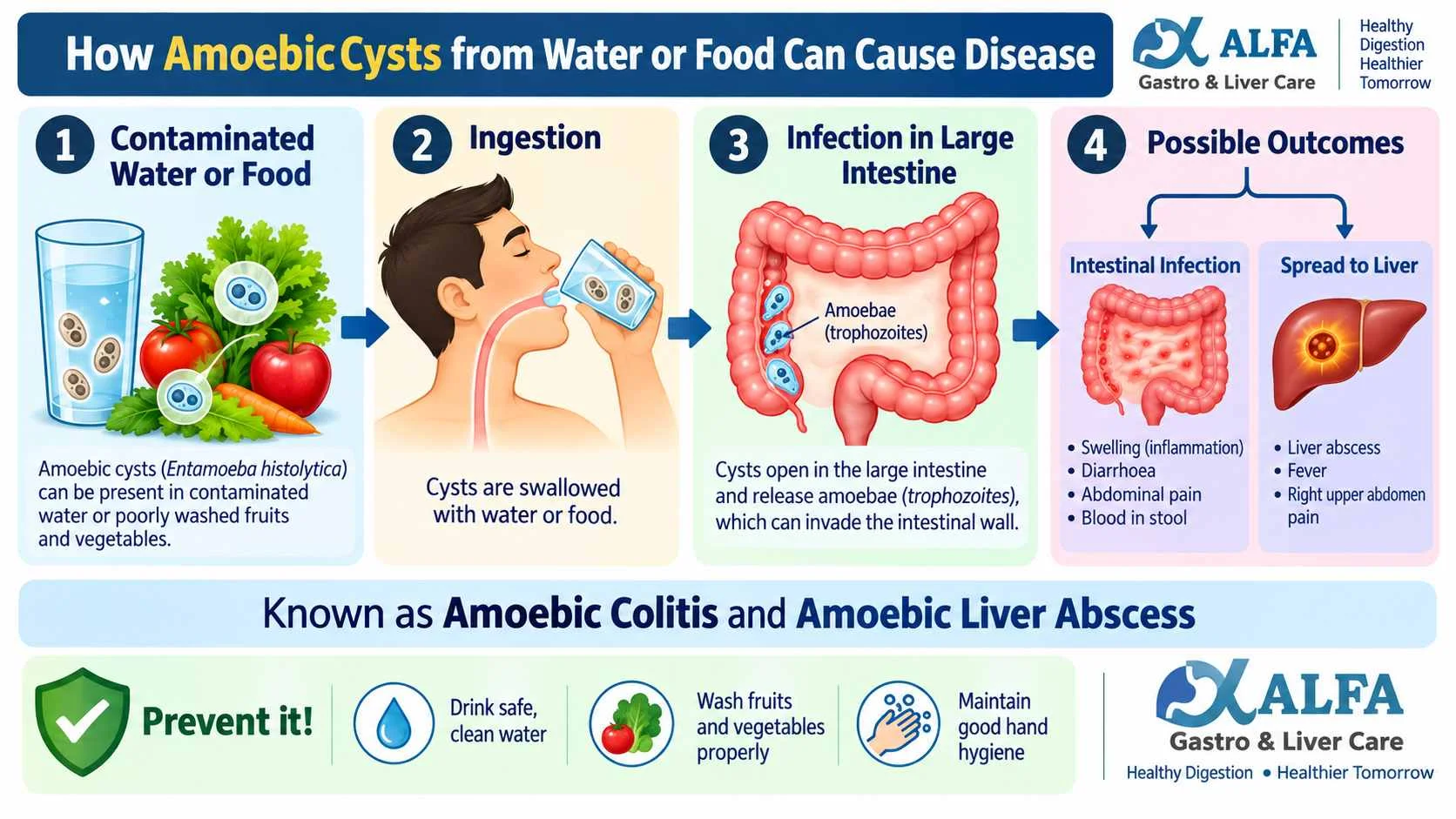 Amebic Colitis: Is Your Drinking Water Making You Sick?